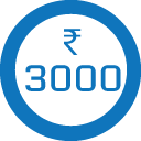 3000